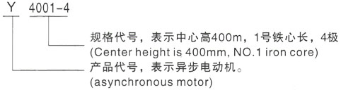 西安泰富西玛Y系列(H355-1000)高压YJTG-180M-4A/18.5KW三相异步电机型号说明